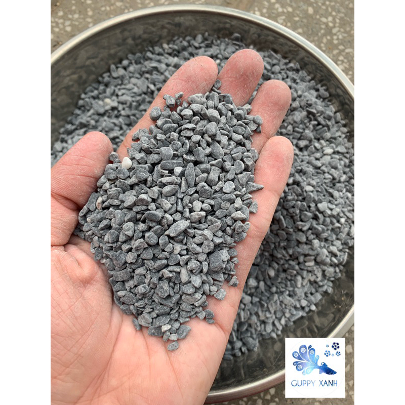 Sỏi đen hạt nhỏ trọng lượng 500g _ Guppy Xanh