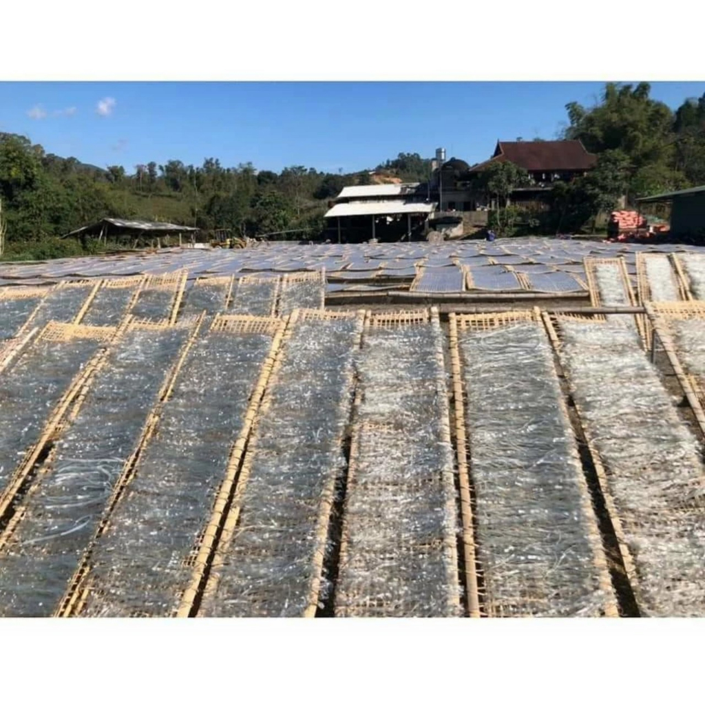 Miến Dong Điện Biên thái tay bản to loại 1 đặc sản Tây Bắc eatclean, healthy