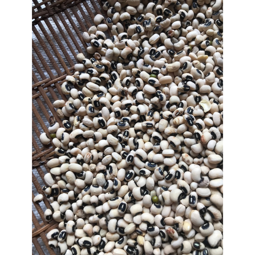 Hạt đậu trắng ÔNG THẮNG - 500g