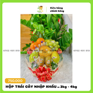 Giỏ quà trái cây nhập khẩu cao cấp ~3-4kg - giỏ quà tặng sang trọng, bắt mắt, cam kết hàng loại 1, tươi mới