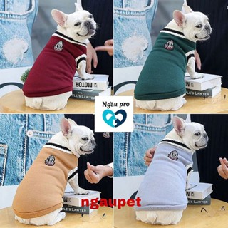 Áo len cổ chữ V cho chó cưng, Áo vest cho chó to dệt kim mùa thu đông mới có logo đại học size cân từ S đến 5XL Ngaupet