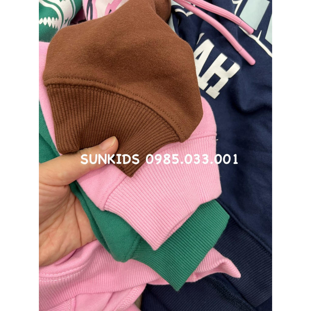 Áo thu đông nỉ Hoodie Phối Chữ Ngực