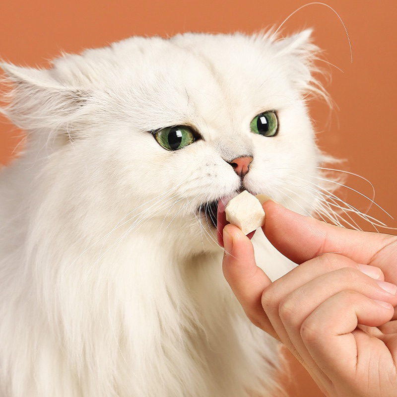 Gà sấy viên - thức ăn cho mèo 50gr/100gr/150gr