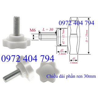 Núm Khóa Vặn M6 x 45 mm - A110043