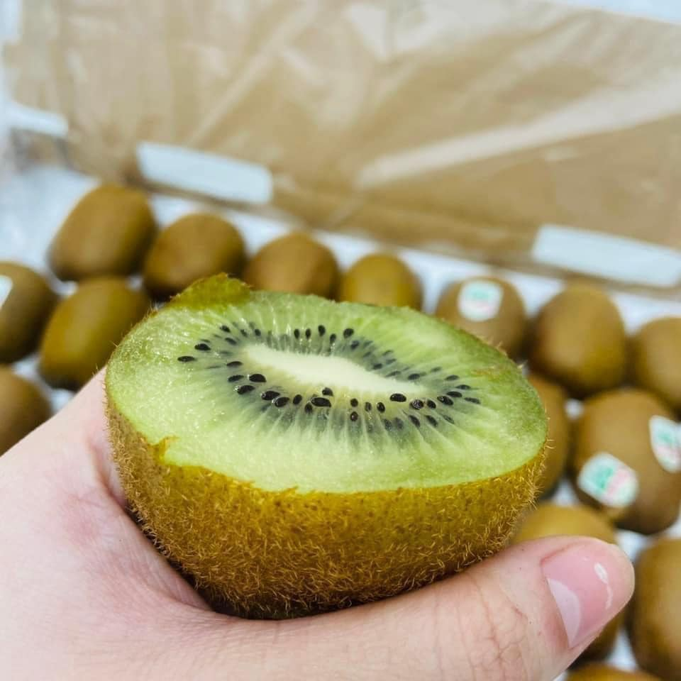 🥝Kiwi Xanh🥝