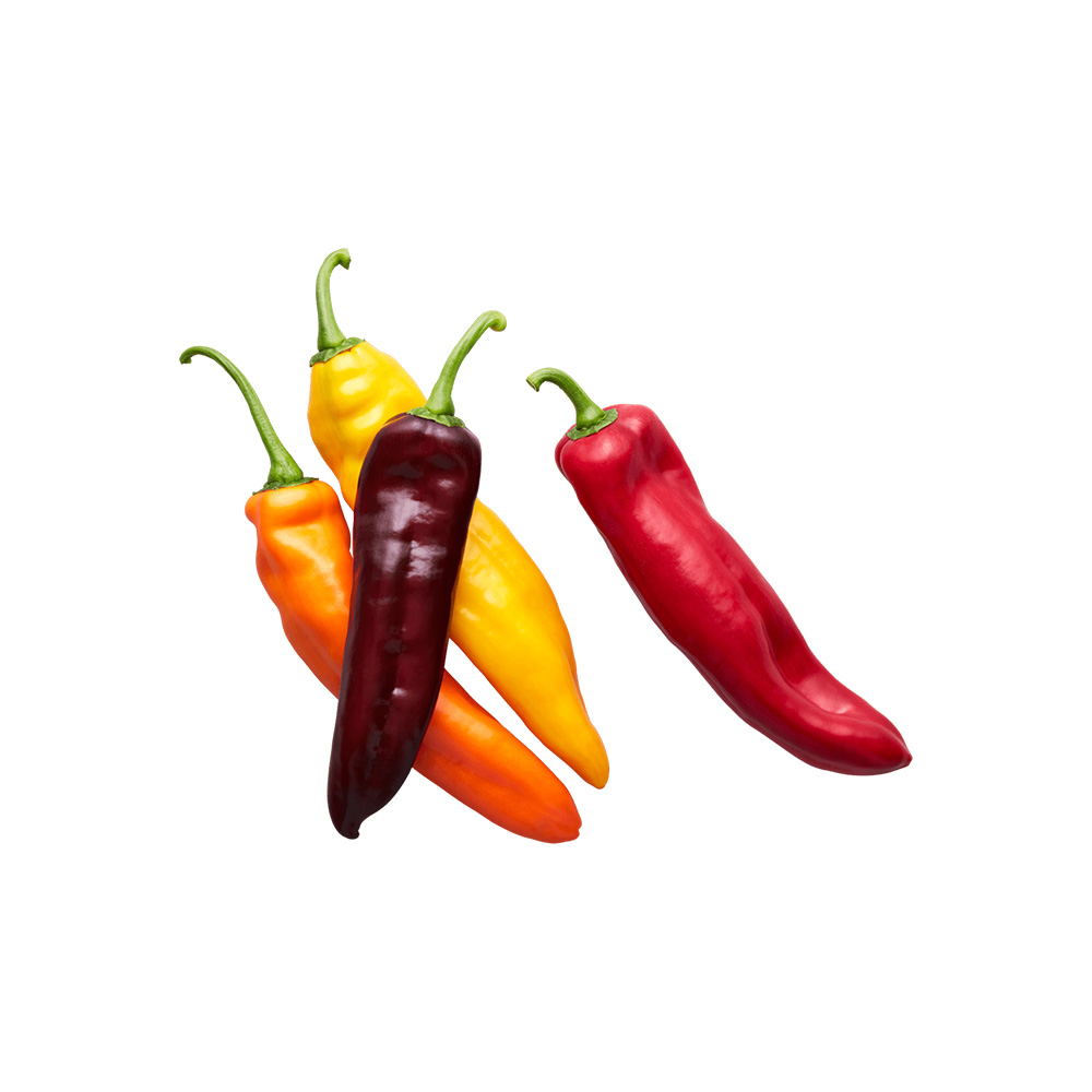 🌶Ớt ngọt Palermo 🌶