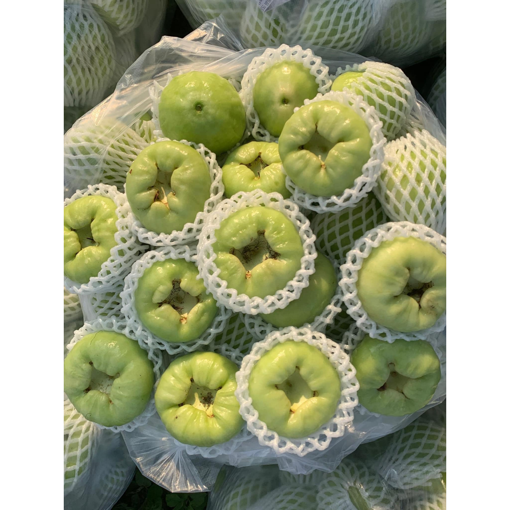 🍐Mận xanh đường🍐