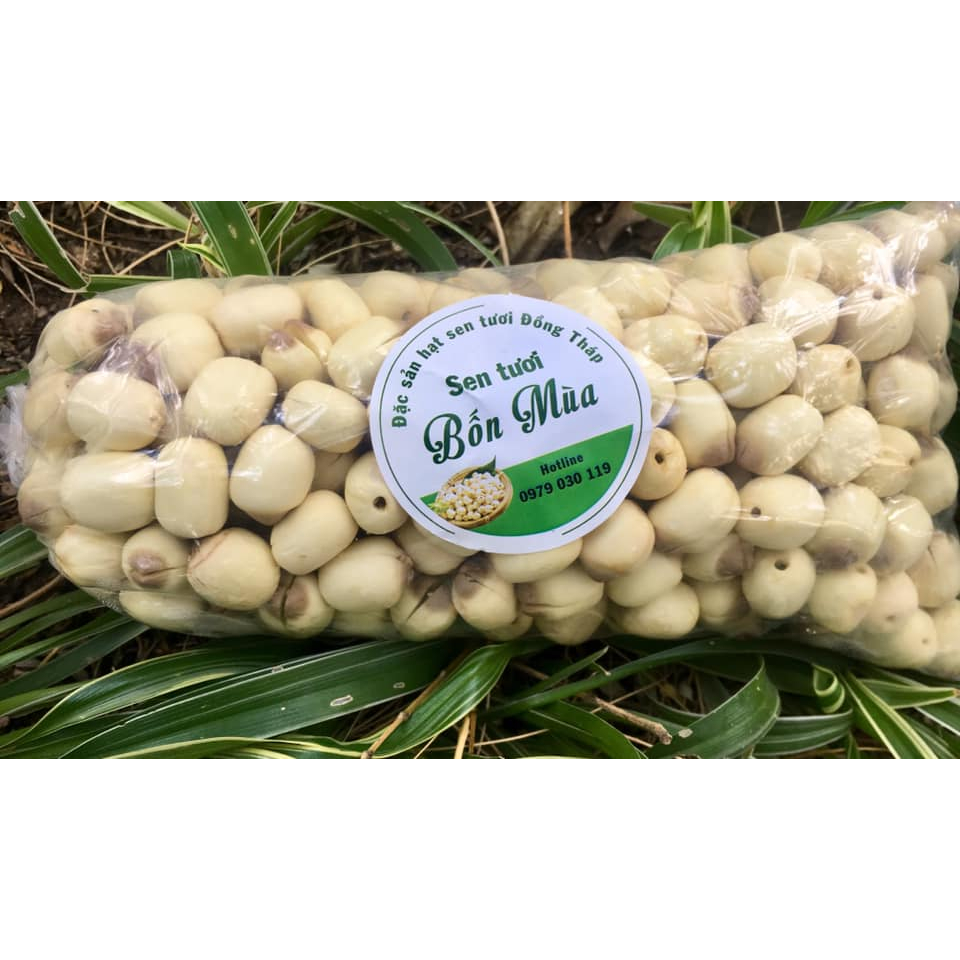 Hạt sen tươi về hàng ngày tại Hà Nội ship toàn quốc