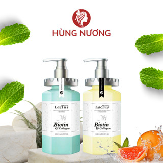 Dầu gội biotin lactus season ngăn gàu, giảm rụng tóc QH lactus season biotin collagen 650ml, combo gội xả phục hồi tóc