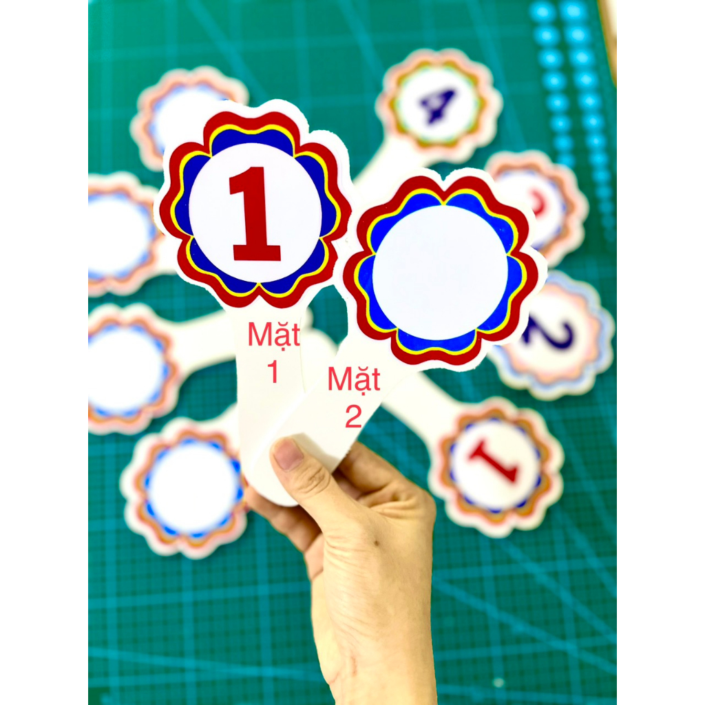 Thẻ Đáp Án ABCD Đ S Mếu Cười có cán siêu bền 2 mặt