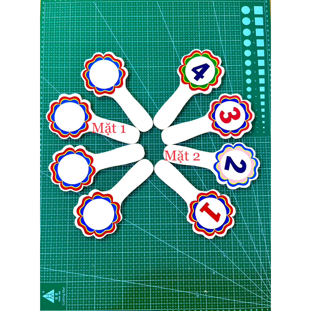 Thẻ Đáp Án ABCD Đ S Mếu Cười có cán siêu bền 2 mặt