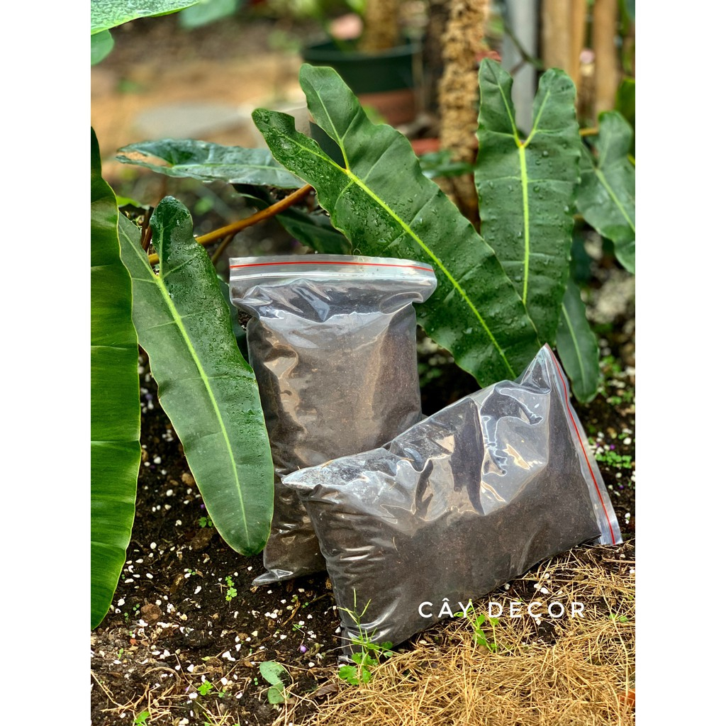 1kg Đất sạch dinh dưỡng chuyên dụng trồng rau sạch,trồng hoa, cây cảnh