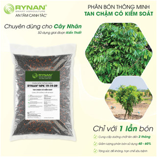 Phân bón tan chậm chuyên dùng cho cây nhãn rynan® npk 19-19-09 - giai đoạn kiến thiết