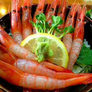 Tôm đỏ atlantic tây ban nha
