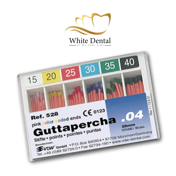 Cone chính Gutta percha VDW