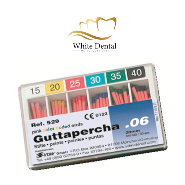 Cone chính Gutta percha VDW