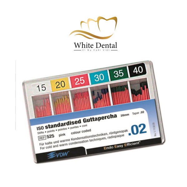 Cone chính Gutta percha VDW