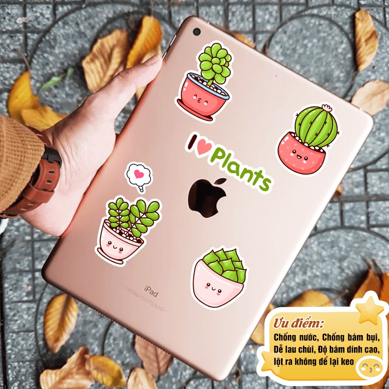 HÌNH DÁN STICKER HÌNH XƯƠNG RỒNG CUTE