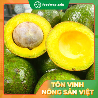 Bơ booth đắk lắk dẻo, thơm - foodmap fruits