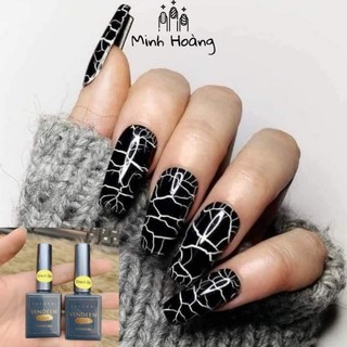 Sơn nứt đen trắng 15ml - sơn tạo hiệu ứng nứt gốm sứ rất đẹp