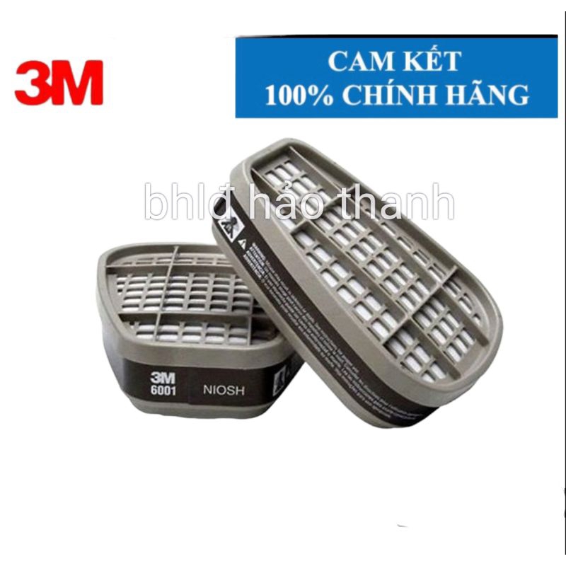 PIN LỌC 6001