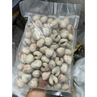 HỎA TỐC - SÒ HUYẾT CẤP ĐÔNG - TÚI 1KG