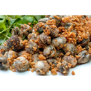 HỎA TỐC - SÒ HUYẾT CẤP ĐÔNG - TÚI 1KG