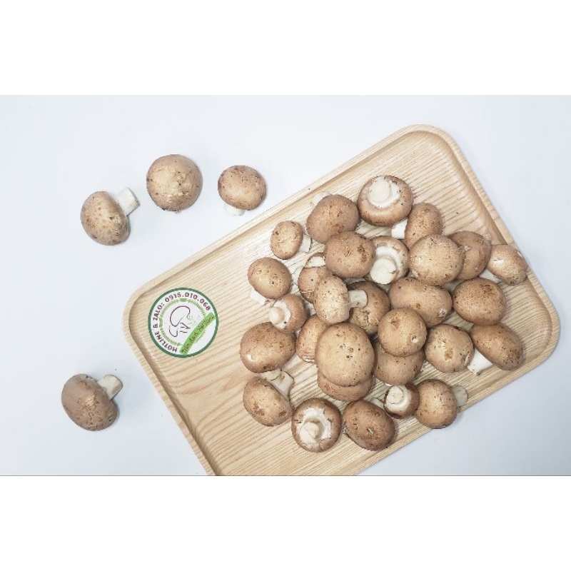 Nấm Ăn Lẩu - Nấm Mỡ Trắng - Nâu