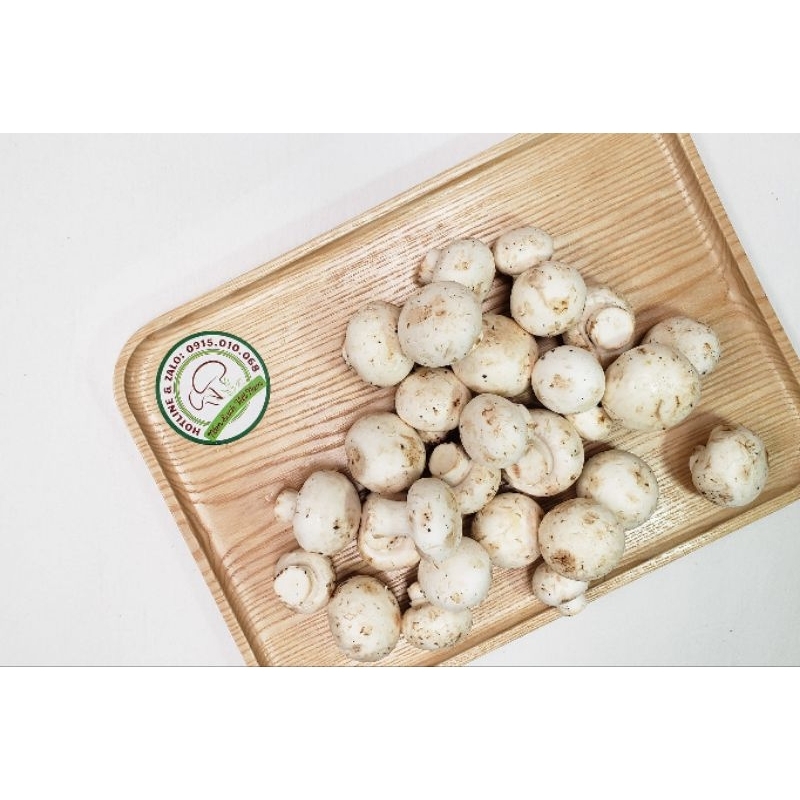 Nấm Ăn Lẩu - Nấm Mỡ Trắng - Nâu