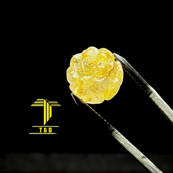 Hạt Charmed Sen tóc vàng T.A tự nhiên