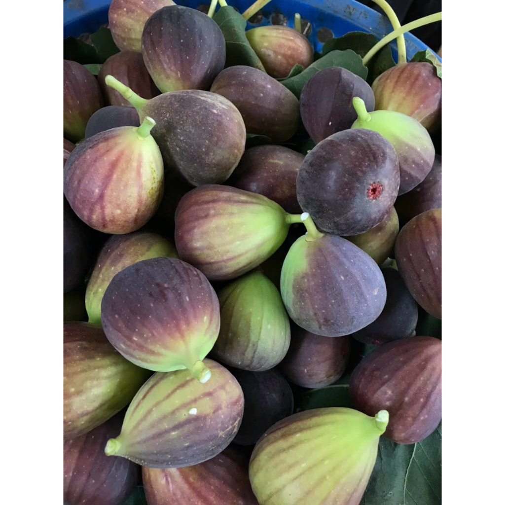 Sung Mỹ hàng chất lượng- 1kg