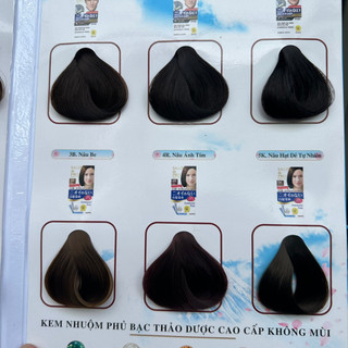 THUỐC NHUỘM TÓC SALON DE PRO ( HÀNG CÔNG TY)