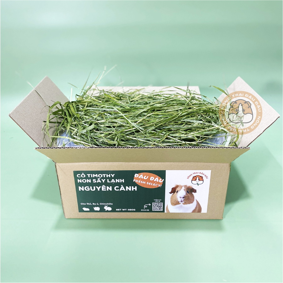 Cỏ Timothy Non Sấy Lạnh Cho Thỏ, Bọ Ú, Chinchilla Nguyên Cành Siêu Xanh Lá Mềm 480g 980g