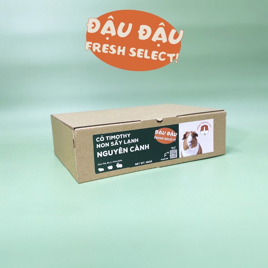 Cỏ Timothy Non Sấy Lạnh Cho Thỏ, Bọ Ú, Chinchilla Nguyên Cành Siêu Xanh Lá Mềm 480g 980g