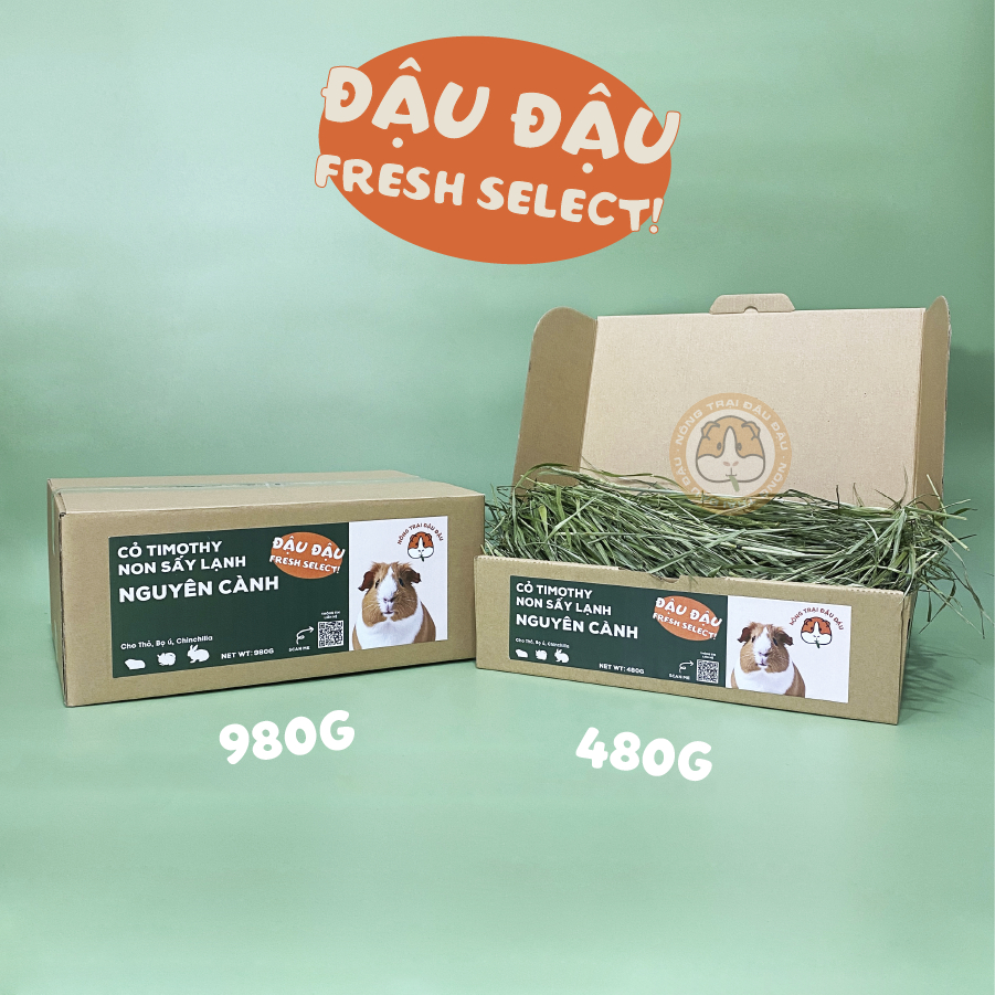 Cỏ Timothy Non Sấy Lạnh Cho Thỏ, Bọ Ú, Chinchilla Nguyên Cành Siêu Xanh Lá Mềm 480g 980g