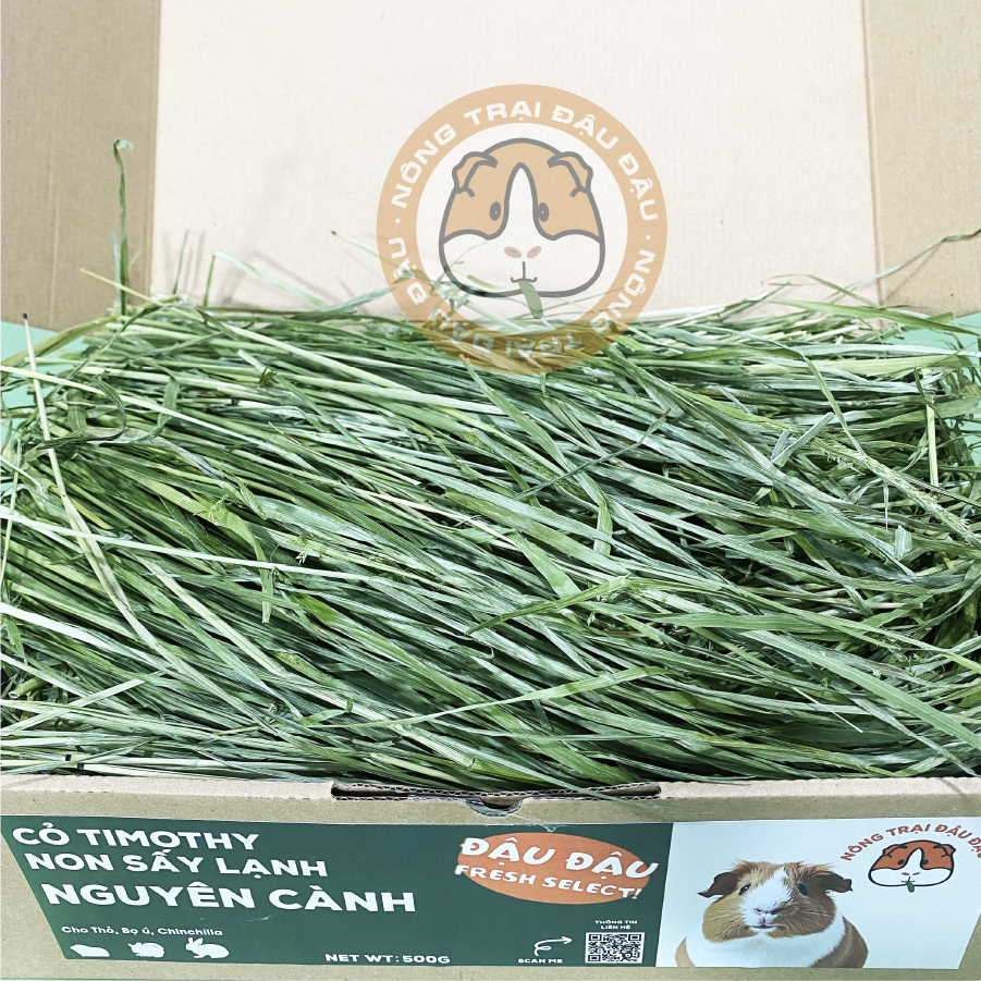 Cỏ Timothy Non Sấy Lạnh Cho Thỏ, Bọ Ú, Chinchilla Nguyên Cành Siêu Xanh Lá Mềm 480g 980g