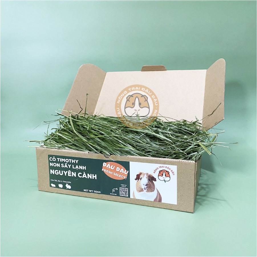 Cỏ Timothy Non Sấy Lạnh Cho Thỏ, Bọ Ú, Chinchilla Nguyên Cành Siêu Xanh Lá Mềm 480g 980g