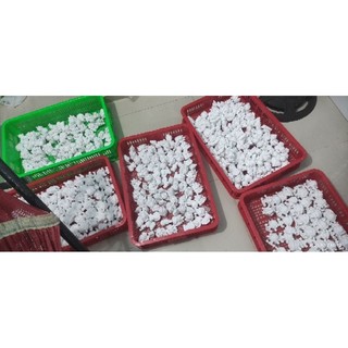 Lẻ tượng SKULLPANDA mini 2D - mẫu cô bé quạt