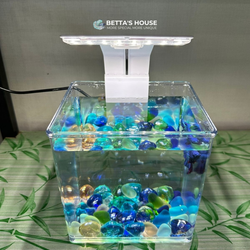 Hồ nhựa nuôi cá 15x12x15 cm Trong Suốt Đúc Khuôn Bo Góc Vừa Để Bàn Trang Trí Phòng Khách, Hồ nhựa nuôi cá