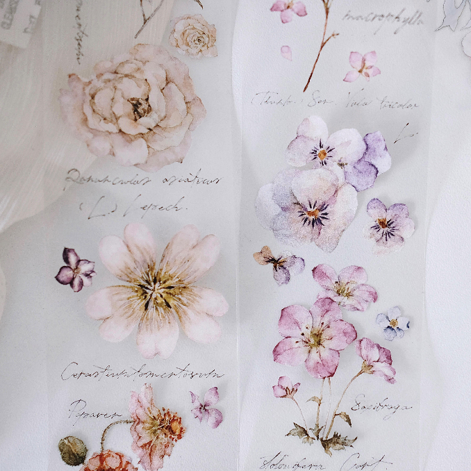 𝓑𝓾𝓵𝓵𝓮𝓽𝓳𝓸𝓾𝓻𝓷𝓪𝓵𝟏𝟏𝟓 ✿ Băng dính hãng Freckles Tea  mẫu "𝐅𝐥𝐨𝐰𝐞𝐫 𝐈𝐥𝐥𝐮𝐬𝐭𝐫𝐚𝐭𝐞𝐝 𝐁𝐨𝐨𝐤" hoa nhí nhiều màu rực rỡ