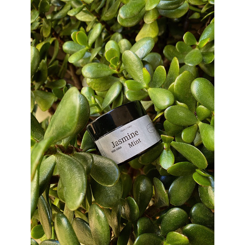 Tẩy tế bào chết da đầu Hoa nhài Nhà cô Mây - Detox da đầu, kiềm dầu, giảm gàu, tơi phồng tóc