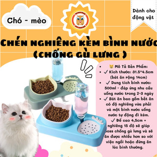 Chén ăn nghiêng hình mèo kèm bình nước dành cho chó mèo