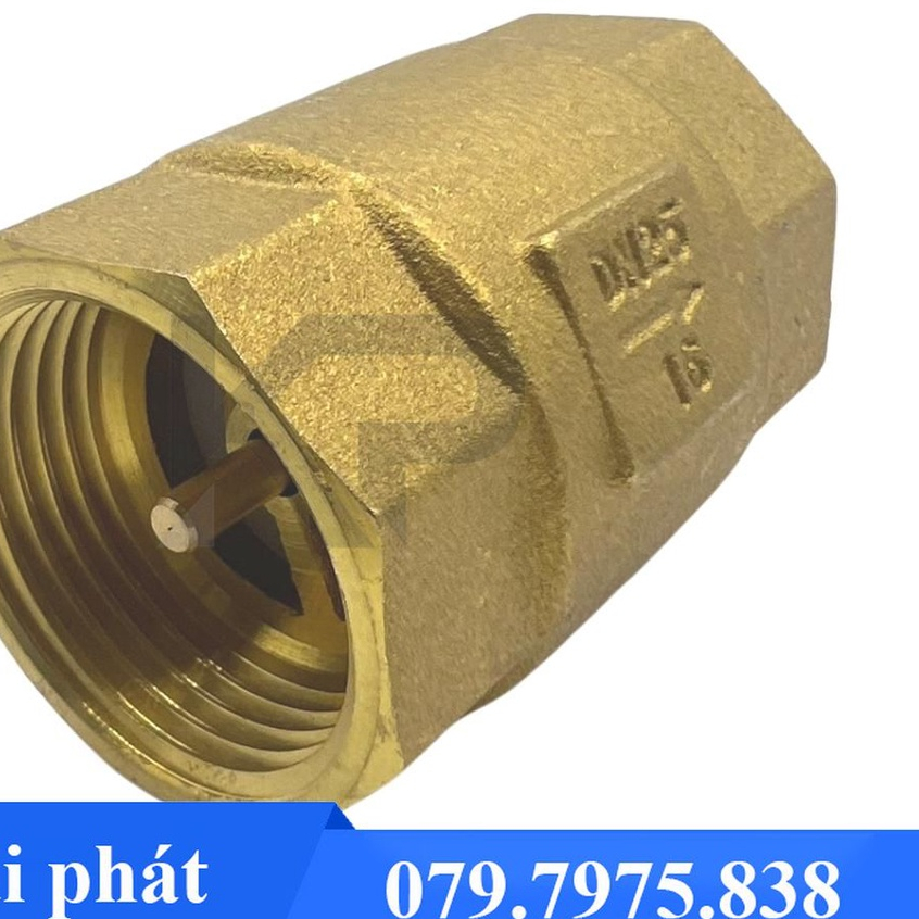 Van 1 chiều lò xo đồng thau nước -Van đóng mở hơi nóng, nước