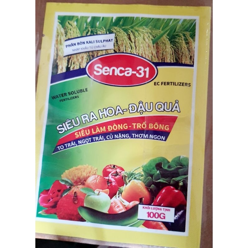 Phân bón Senca 31