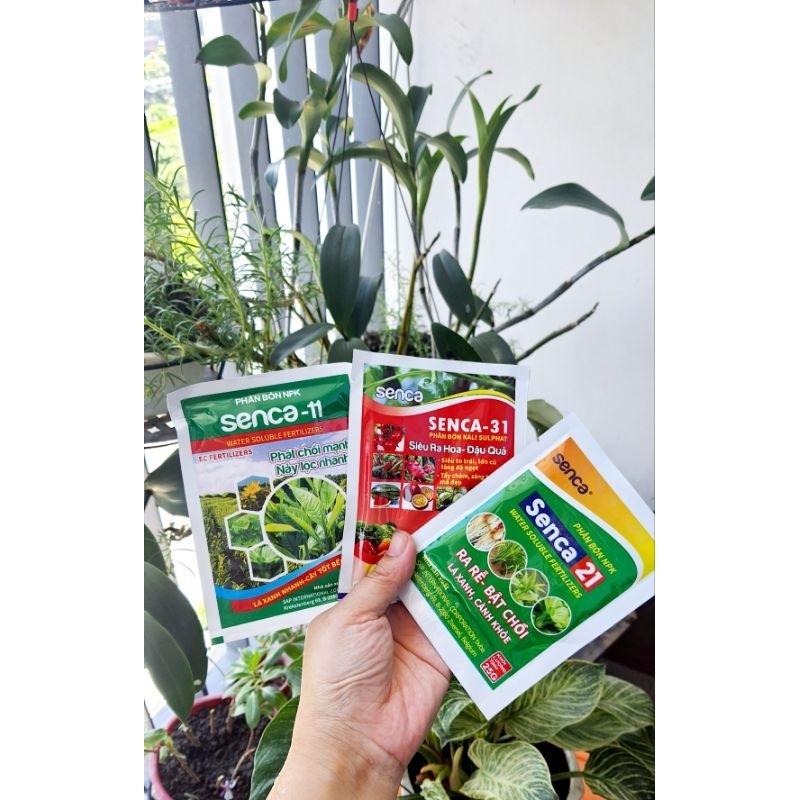 Phân bón Senca 31