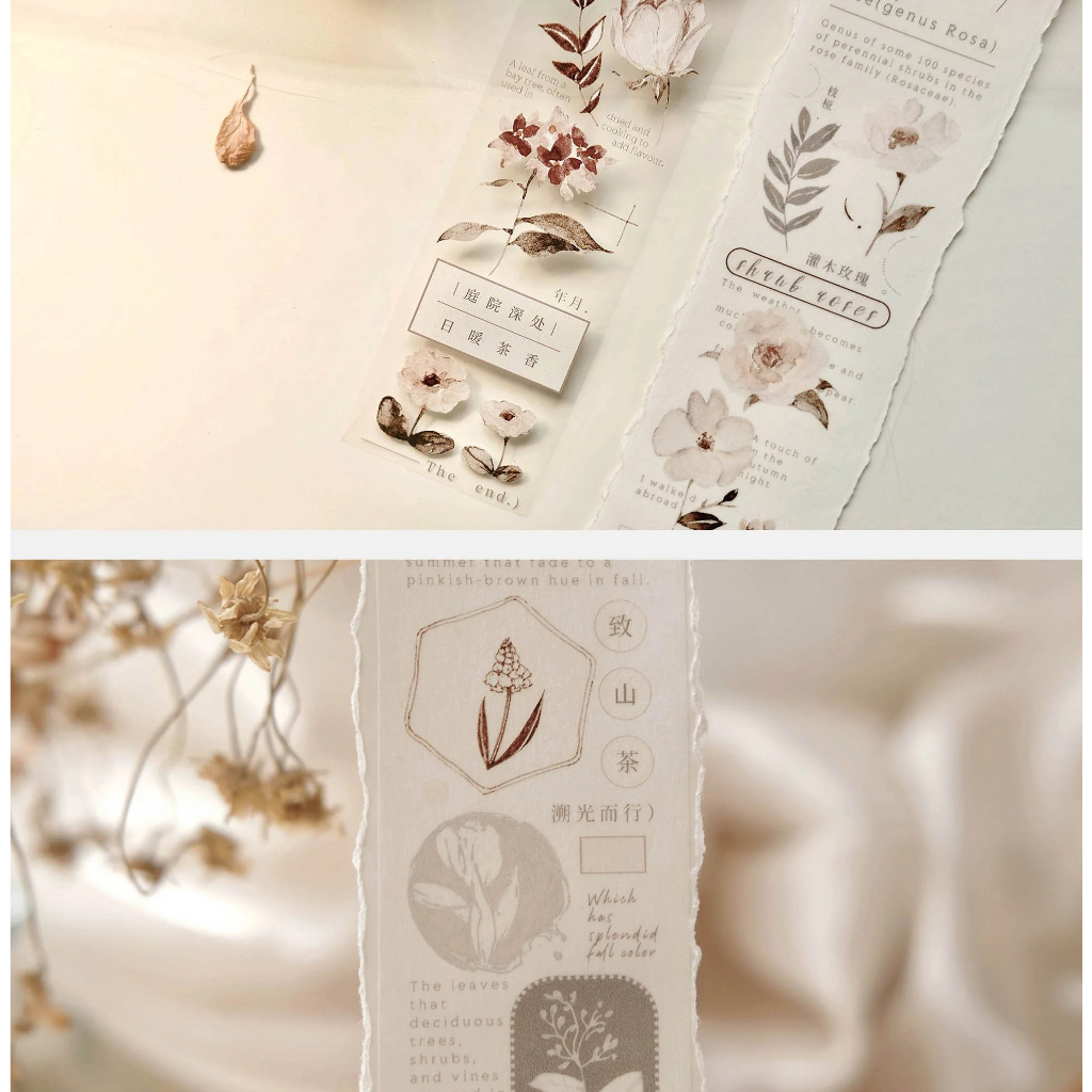 𝓑𝓾𝓵𝓵𝓮𝓽𝓳𝓸𝓾𝓻𝓷𝓪𝓵𝟏𝟏𝟓 ✿ Băng dính hãng Freckles Tea  mẫu "𝐀𝐮𝐭𝐮𝐦𝐧 𝐋𝐞𝐚𝐯𝐞𝐬" hoa nâu và khung phong cách mùa thu xinh xắn