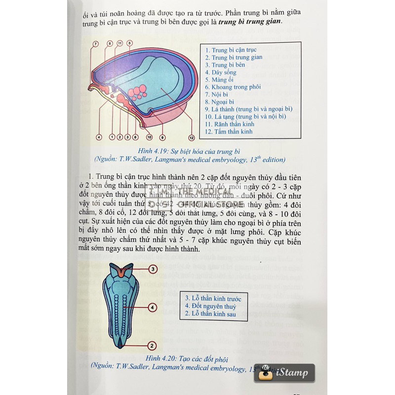 Sách - Mô Học Và Phôi Thai Học Tmos