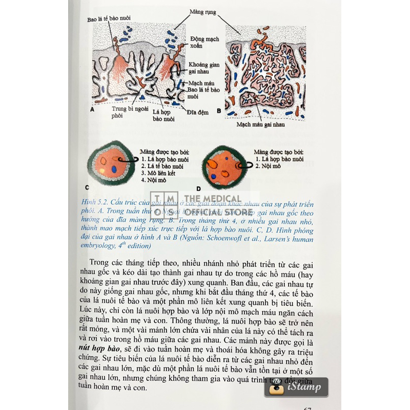 Sách - Mô Học Và Phôi Thai Học Tmos