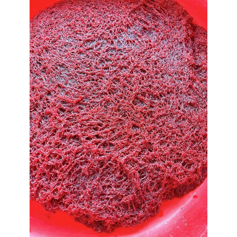 Trùng Huyết Thức ăn cho cá bán