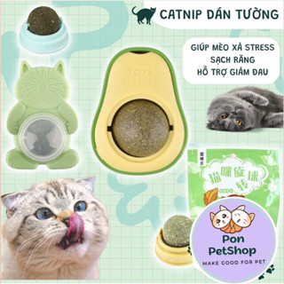 Cỏ mèo dán tường Catnip mèo đồ chơi cho mèo giúp mèo xả stress